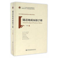 隧道地質(zhì)預(yù)報(bào)手冊(cè)