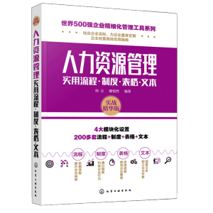 世界500強(qiáng)企業(yè)精細(xì)化管理工具系列--人力資源管理實(shí)用流程·制度·表格·文本