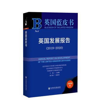 Ӣ{(ln)ƤӢl(f)չ(bo)棨2019~2020
