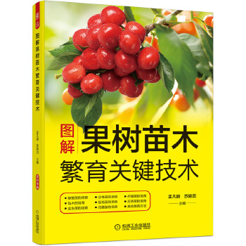 DľP(gun)Ig(sh)12N޽ľ(sh)硢wǤľ