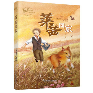 Rؼ ԏ(qing)꽛(jng)Сf