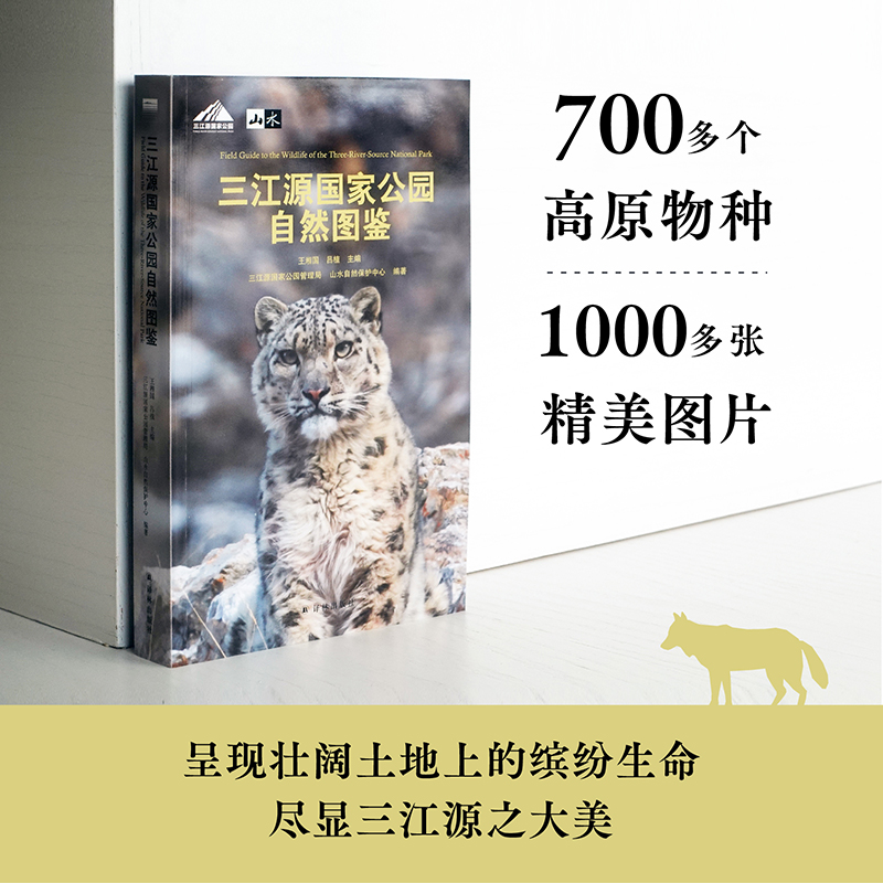 Դҹ@ȻDb 700ԭN1000DƬʬF(xin)ϵ_H