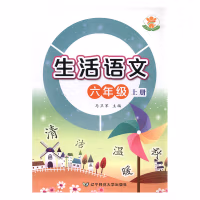 Z꼉