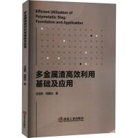 多金屬渣高效利用基礎(chǔ)及應(yīng)用