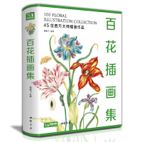 ٻ宋(hu)
