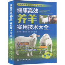 СҎ(gu)Ҏ(gu)B(yng)ֳ--ЧB(yng)?q)üg(sh)ȫڶ棩