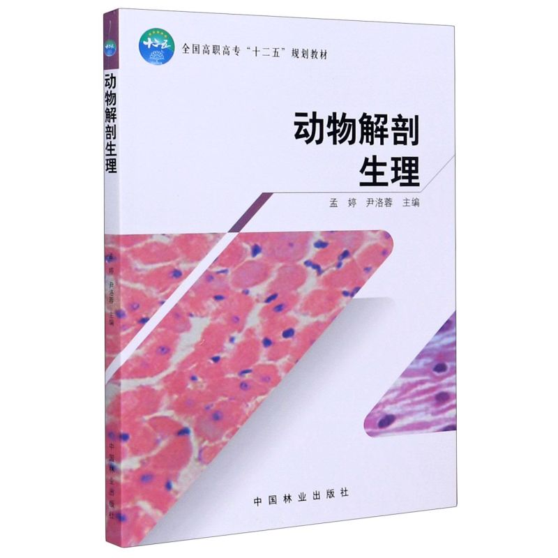 ߌʮ壩