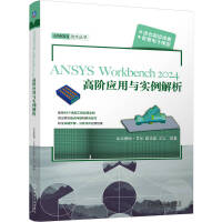 ANSYS Workbench2024A(yng)c(sh)