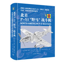 P-51ҰR(zhn)C(j)