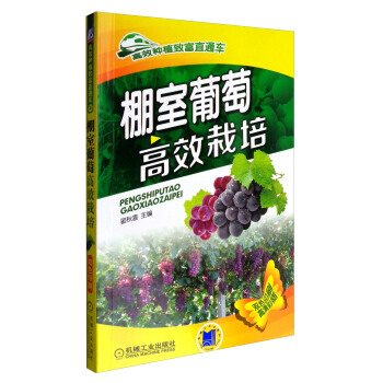 棚室葡萄高效栽培