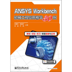 ANSYS WorkbenchCе̑þA30DVDP1