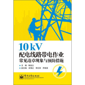 10kV늾·I(y)Ҋ`¬F(xin)cA(y)ʩ