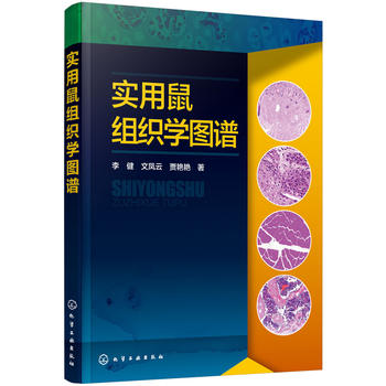  MW(xu)DV