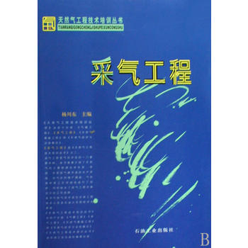 天然氣工程技術(shù)培訓(xùn)叢書(shū) 采氣工程