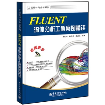 FLUENTw̰v(DVDP1)