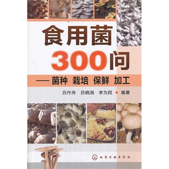 ʳþ300(wn)--Nr ӹ