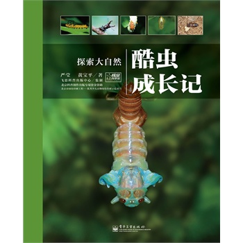 xLӛb棩ȫʣ